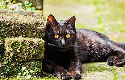 《幽灵行者2》IGN 9分：继承前作优点并提升